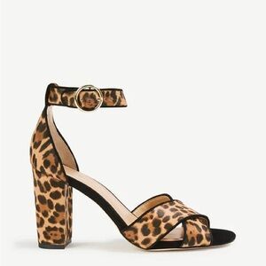 Ann Taylor Leopard Print Calf Hair Block Heel 5.5